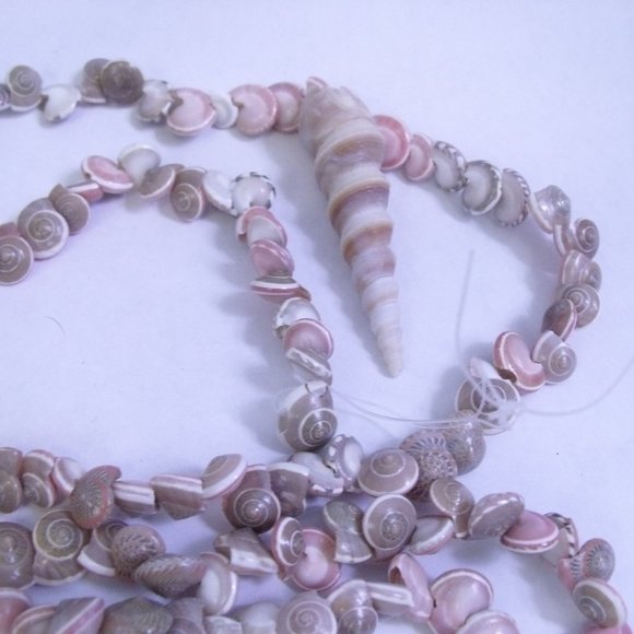 Seashell Umbonium Shell Garland - Picture 8 of 9